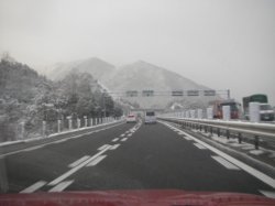 06tofar1.jpg