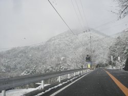 06tofar8.jpg