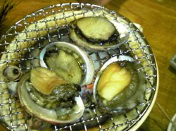 08shirahama3.jpg