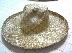 08shirahama5.jpg