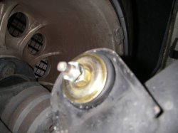 75shock4.jpg