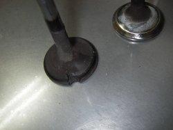 8vhead3.jpg