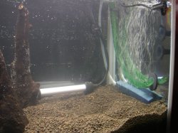 aqua12.jpg