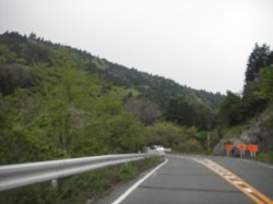gowest29.jpg