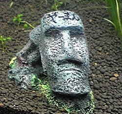 moai.jpg