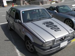 wolf754.jpg