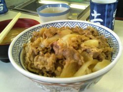 yoshinoya2.jpg